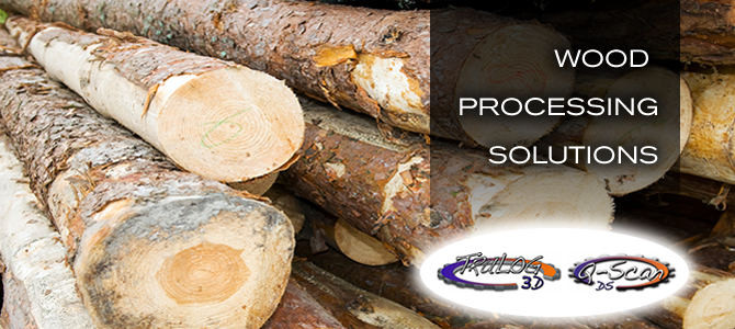 Wood Processing and Scanning Systems